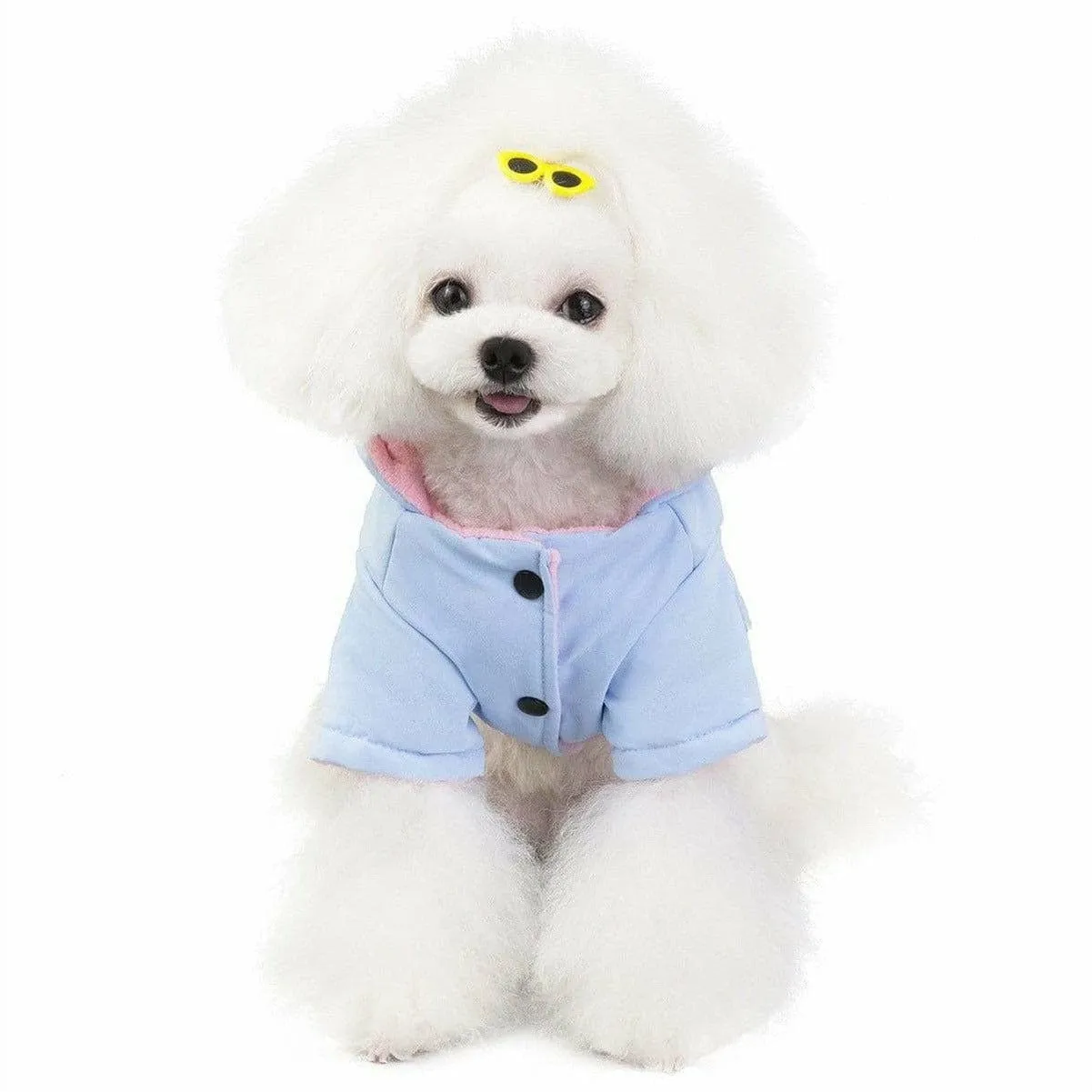 dog clothes blue L 201907026